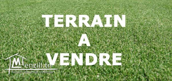 اراضي في تونس بن عروس