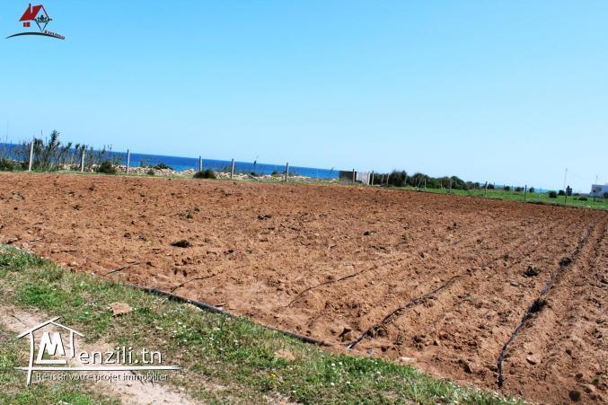 Deux hectares et 6000m²