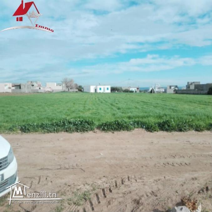 Terrain sur la route de la plage Dar Allouch