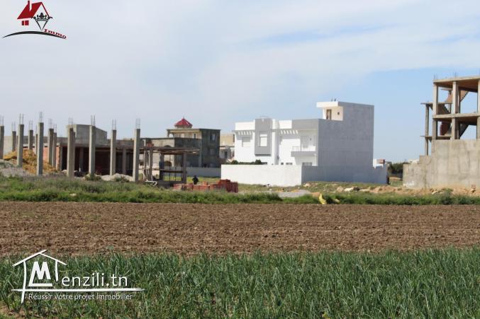 Terrain à kélibia elfatha