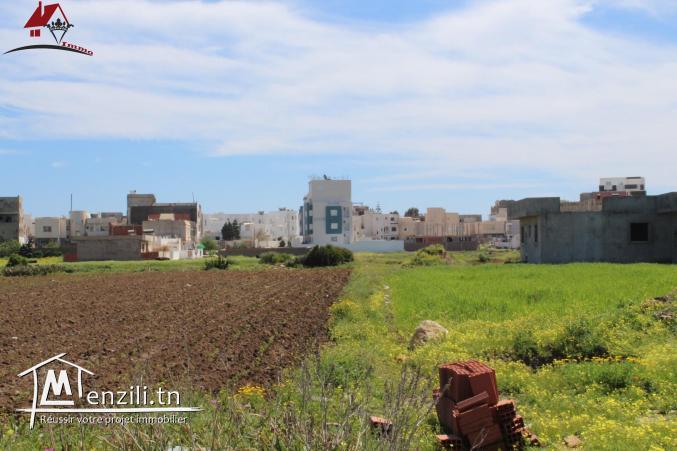 Terrain à kélibia elfatha