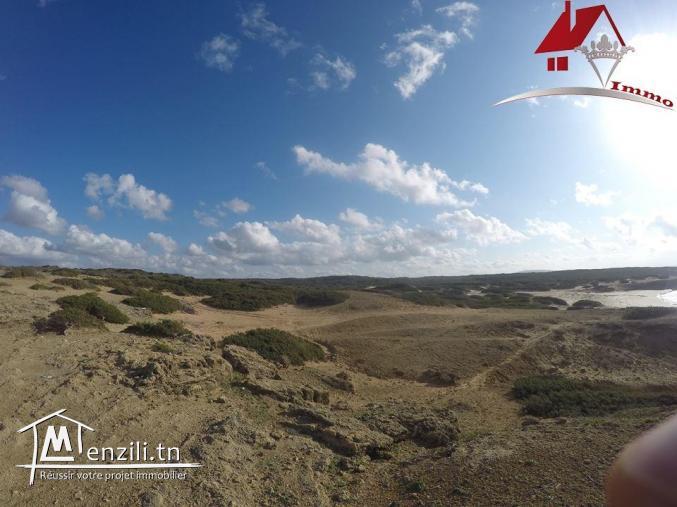 100 hectares pied dans l’eau