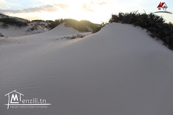 100 hectares pied dans l’eau