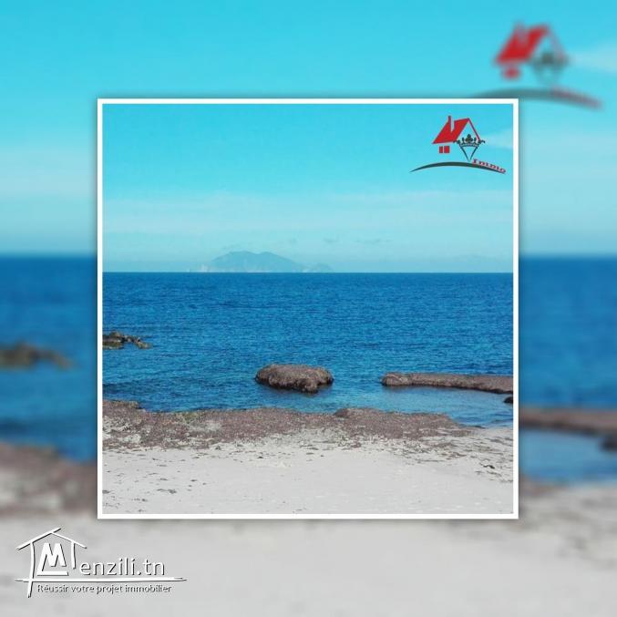 15 Hectares pieds dans l’eau