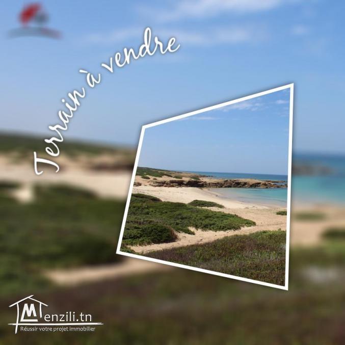 52 hectares pieds dans l'eau