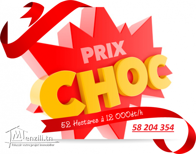 52 hectares pieds dans l'eau