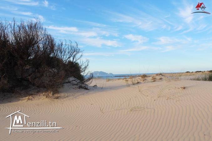 15 Hectares pieds dans l’eau