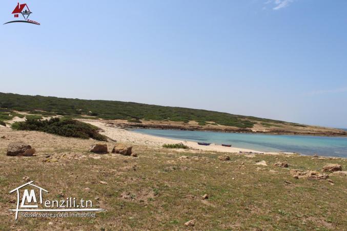 52 hectares pieds dans l'eau