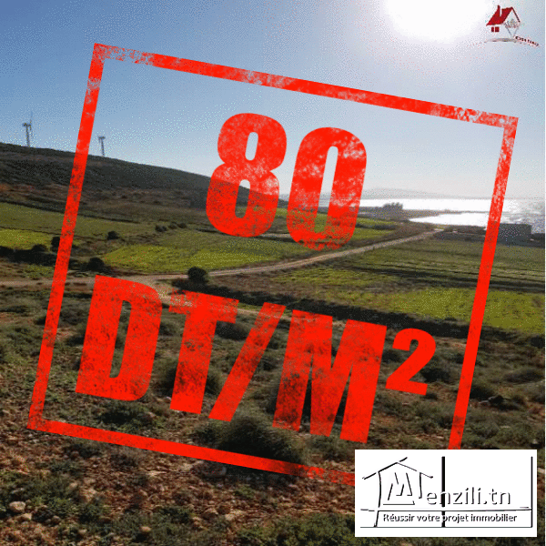 8 lots de 238m² à 314m