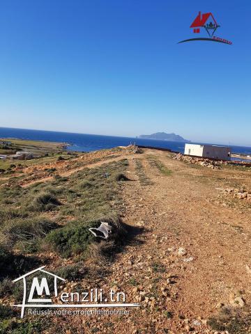 8 lots de 238m² à 314m