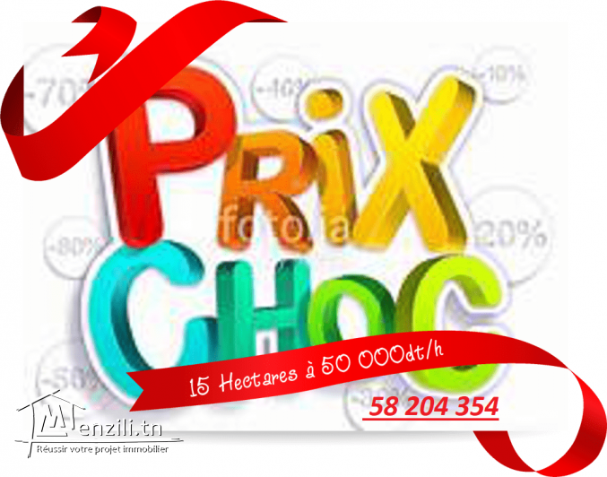 15 Hectares pieds dans l’eau