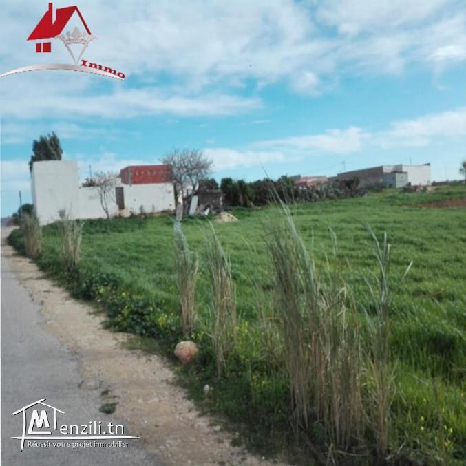 des lots de terrain à Dar Allouch de 700 m²