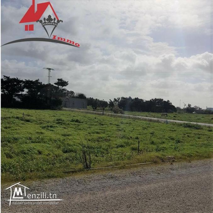 des lots de terrain de 250m² et 500m²   à Dar Allouch