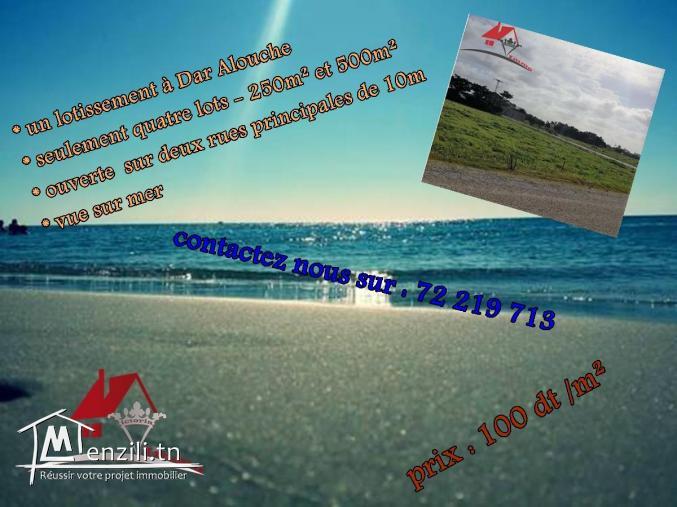 des lots de terrain de 250m² et 500m²   à Dar Allouch
