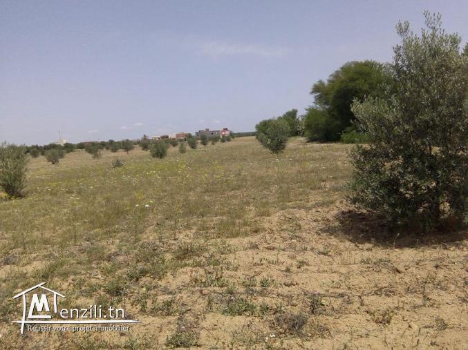 terraain dans une zone commerciale
