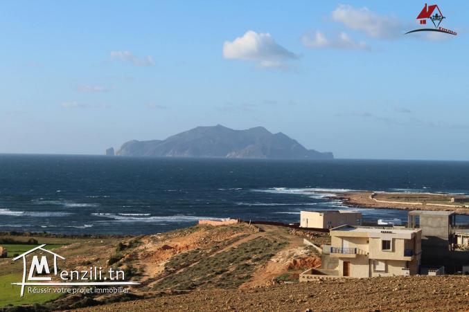 projet villa sur commande à El Haouaria (Borj Salhi)