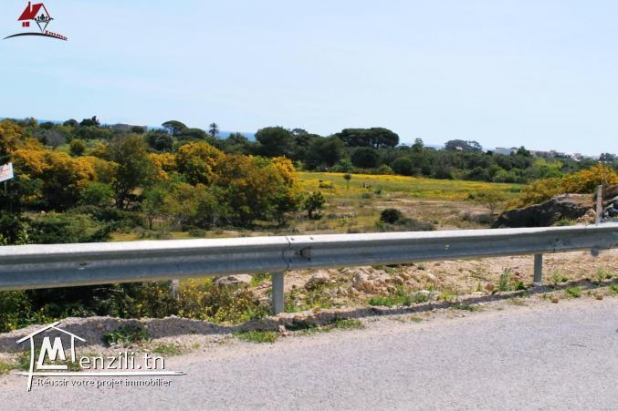 أرض تبلغ مساحتها 1035 الم² في حمام الغزاز - قليبية