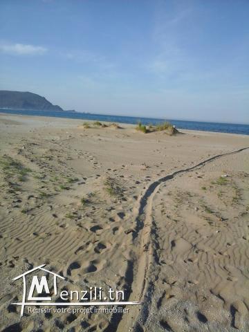 LOCATION Saison estivale