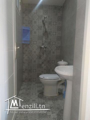 Location périodique d'un appartement en s+2