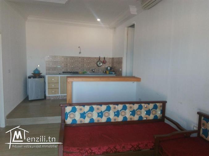 Location périodique d'un appartement en s+2