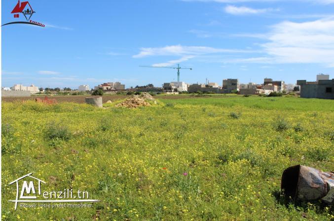 قطعة أرض في المنصورة 2