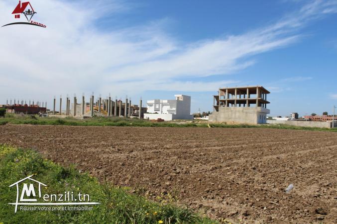 قطعة أرض في المنصورة 2