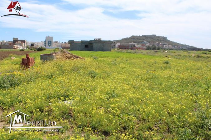 قطعة أرض في المنصورة 2