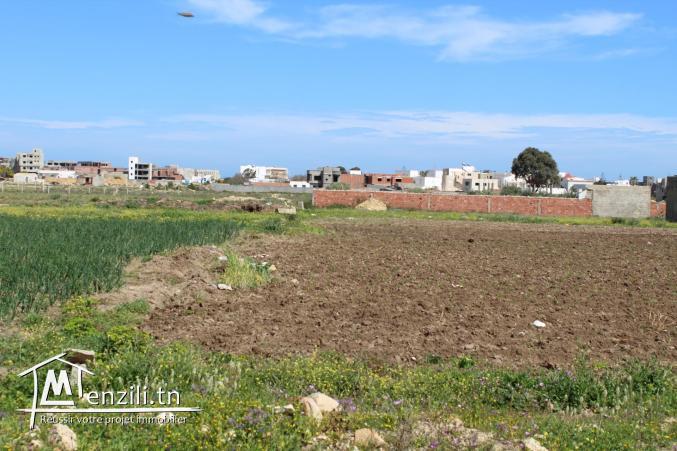 قطعة أرض في المنصورة 2