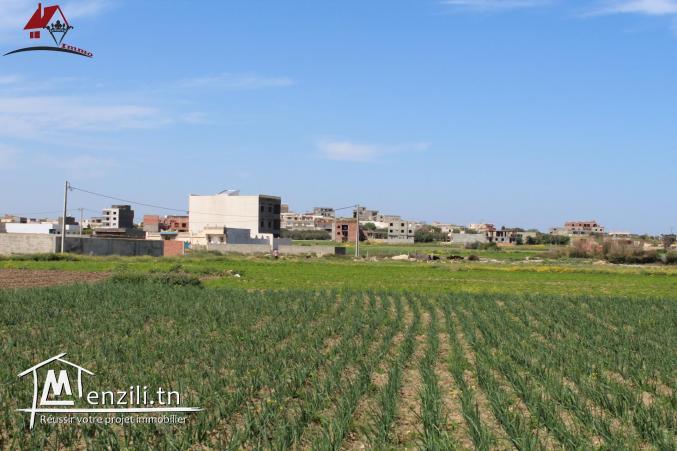 قطعة أرض في المنصورة 2