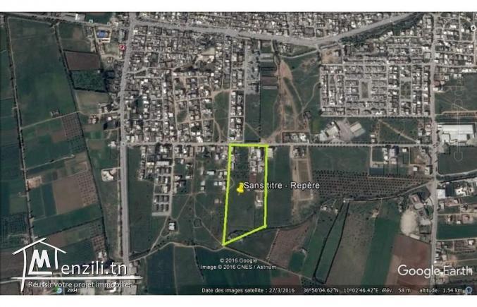 des lots a vendre à OuedEllil