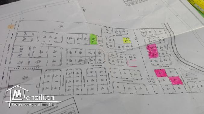 des lots a vendre à OuedEllil