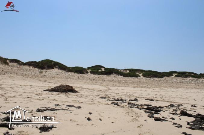 52 هكتارعلى البحر في الهوارية