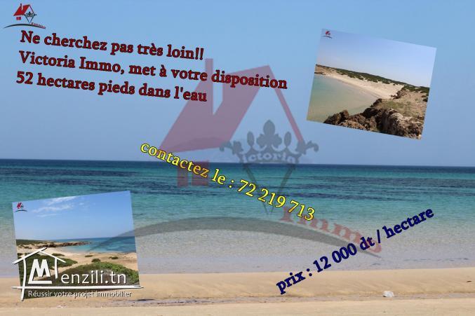 52 هكتارعلى البحر في الهوارية