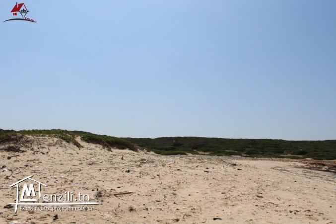 52 هكتارعلى البحر في الهوارية