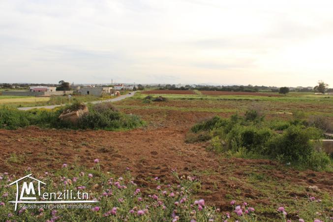 8 lots à 500 m de la plage à Dar Allouch