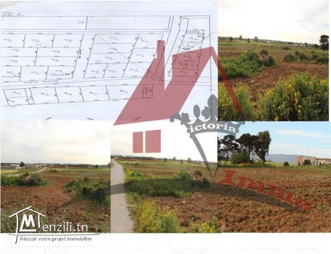 8 lots à 500 m de la plage à Dar Allouch