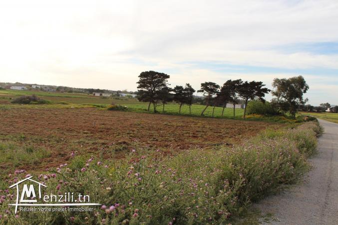 8 lots à 500 m de la plage à Dar Allouch