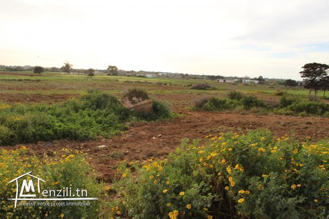 8 lots à 500 m de la plage à Dar Allouch