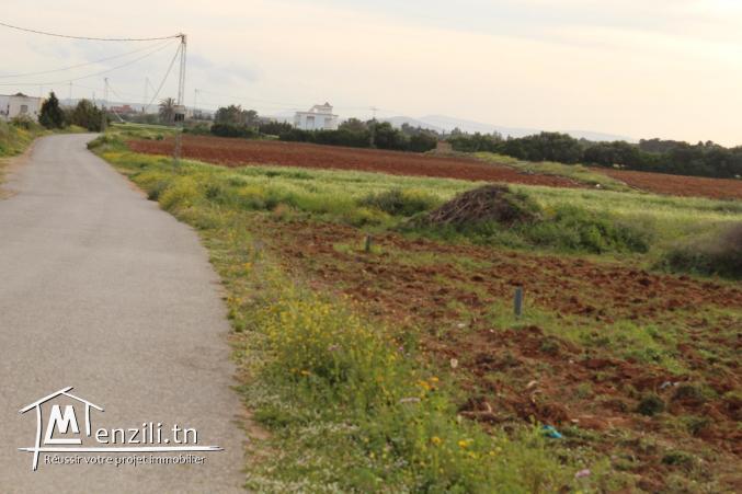 8 lots à 500 m de la plage à Dar Allouch
