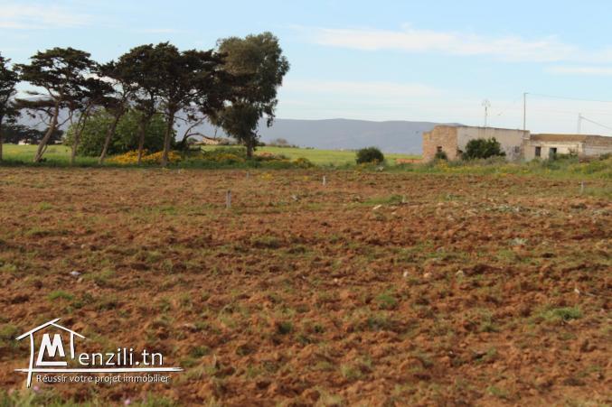8 lots à 500 m de la plage à Dar Allouch