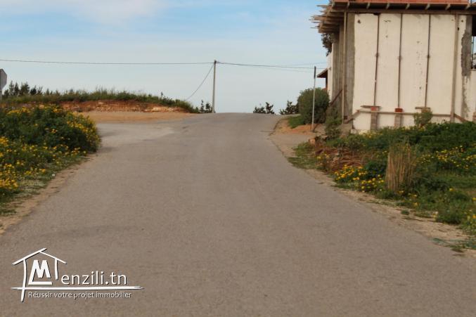 8 lots à 500 m de la plage à Dar Allouch