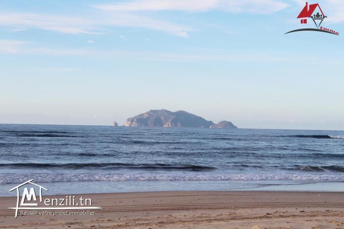 15 هكتار في قلب الطبيعة في لؤلؤة الوطن القبلي