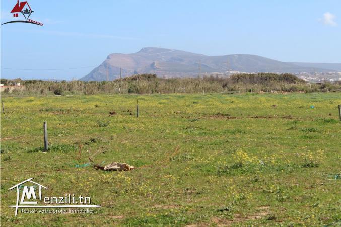 des lots de terrain de 200 m² à El Haouaria