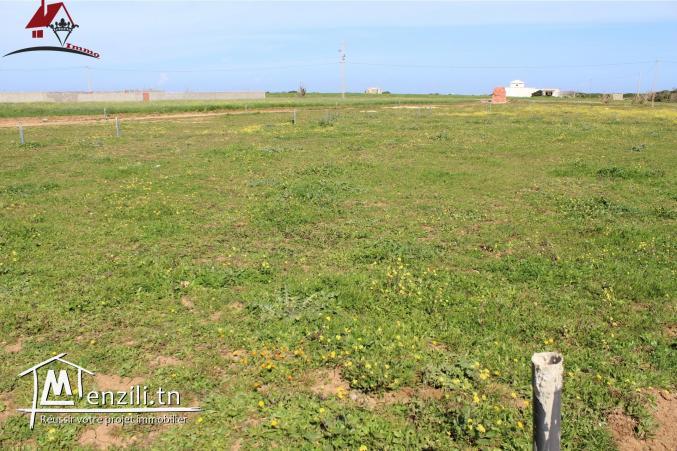 des lots de terrain de 200 m² à El Haouaria