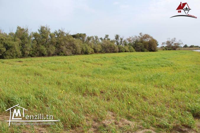 قطعة أرض مطلة على البحر في "سيدي منصور" قليبية