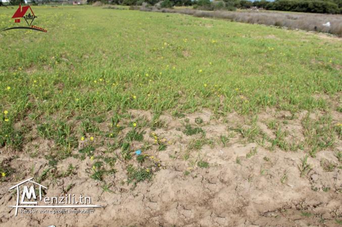 قطعة أرض مطلة على البحر في "سيدي منصور" قليبية