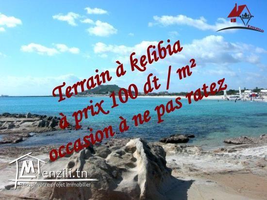 قطعة أرض مطلة على البحر في "سيدي منصور" قليبية