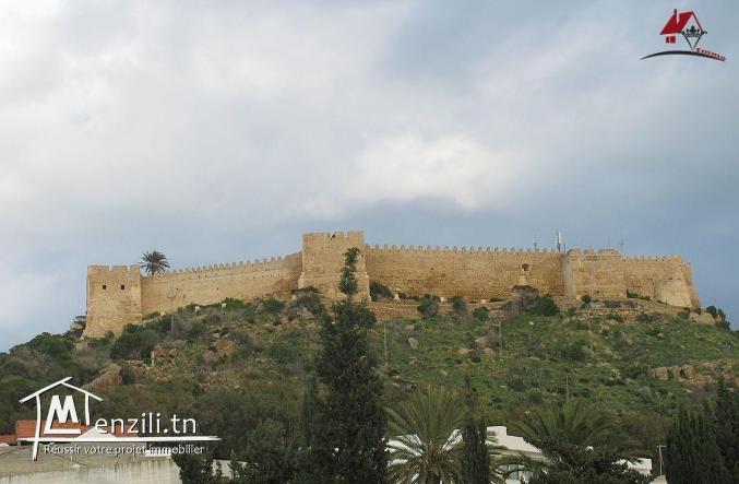 قطعة أرض مطلة على البحر في "سيدي منصور" قليبية