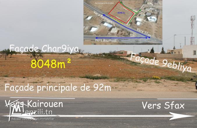 Vente à Sfax pour les résidents à l'étranger.