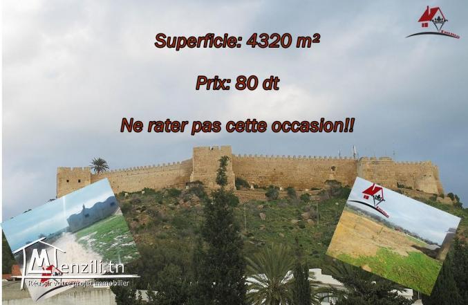 قطعة أرض الواقعة على الطريق الرئيسية قليبية / الهوارية